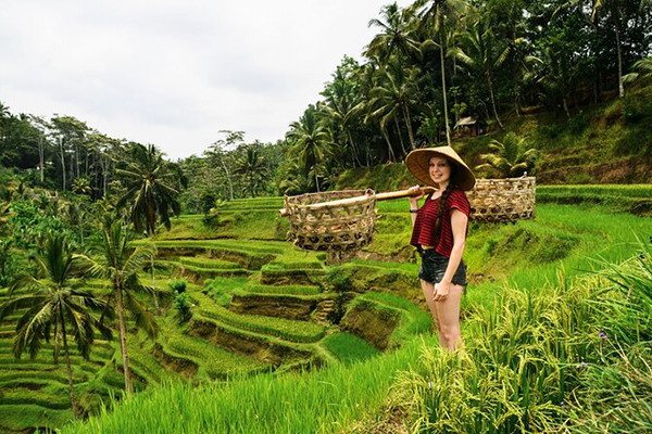 4D3N Complete Bali Tour (4* Hotels)