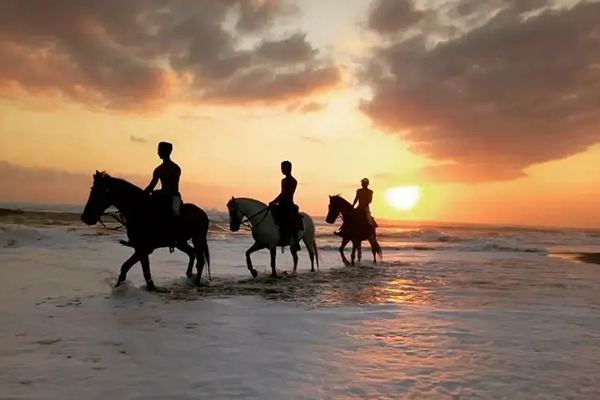 Horse Riding Bali Beach