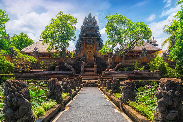 Ubud Bali Half Day Tours